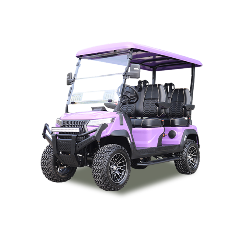 Model N gas golf cart for resort fleet and dealer inventory