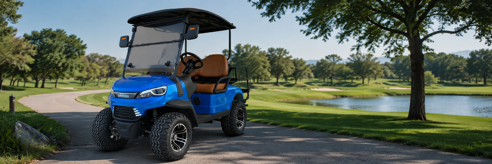 custom 6 seat golf cart for hotel guest transport